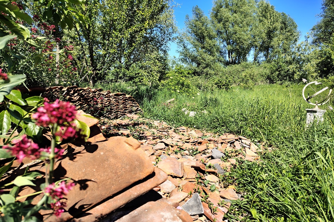 Open Erf op 24 mei bij biodiversiteitsambassadeur in Buren